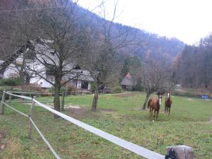 2 hvězdičkový penzion Apartments Gubanec Cerklje na Gorenjskem Slovinsko