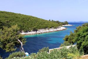 Apartments by the sea Cove Zastupac, Hvar - 8761