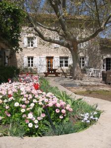 Mas Des Vertes Rives photo 6