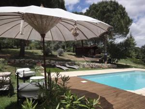 B&B / Chambres d'hotes Mas Les Micocouliers : photos des chambres