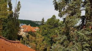 Sport Pension Cibulka