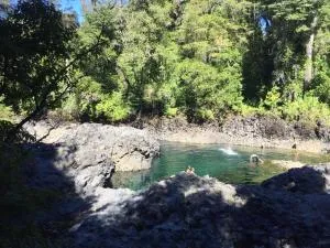 Cabaña Huilin - Huilo Huilo