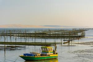 B&B / Chambres d'hotes Villa Donosti Chambres d'Hotes : photos des chambres