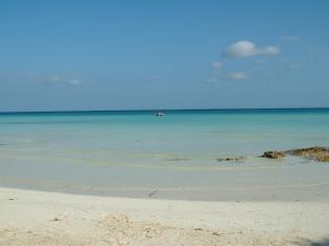 Hotels La Marine : photos des chambres