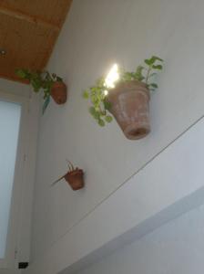 Rocio Rooms
