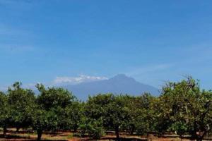 Voyager Ziwani Tented Camp