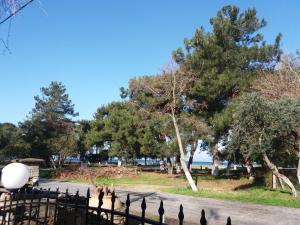 BLEU- VERT Thassos Greece