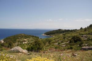 Holiday Home (139-2)