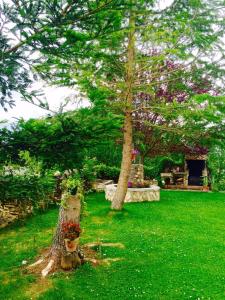 Casa Rural El Covanchón