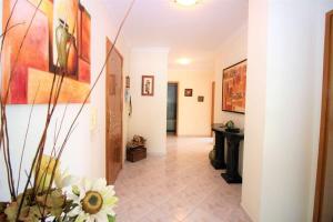 Quiet apartment overlooking the swimming pool