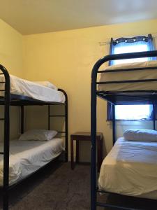 Bed in 4-Bed Mixed Dormitory Room room in Hollywood Highland Hotel and Hostel