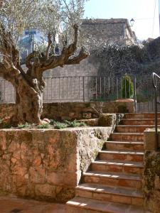 Accommodation in Community of Madrid