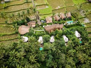 Jalan Subak Sala Banjar Sala, Ubud, Bali, Indonesia.