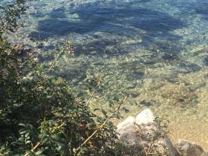 casavacanza golfo aranci img30