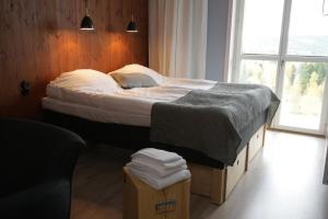 Deluxe Family Room room in Bergshotellet