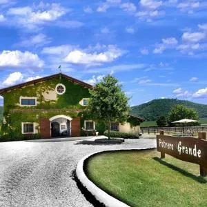 Agriturismo Potrero Grande sul Lago di Martignano con spiaggia - 坎帕尼亚诺·迪罗马