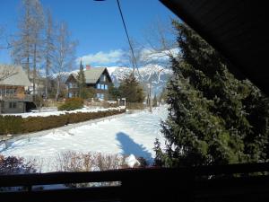 Vila Nana Bled Apartments & Rooms