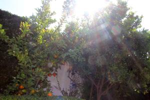 Hotel y Cabañas una Cosita de Zacatlán