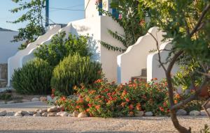 Firoa Studios Donousa-Island Greece
