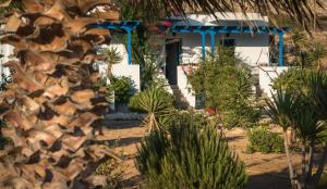 Firoa Studios Donousa-Island Greece