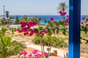 Firoa Studios Donousa-Island Greece
