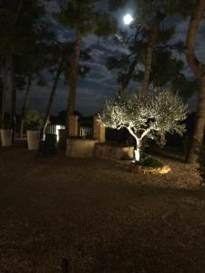 Casa Berardi Residenza Storica