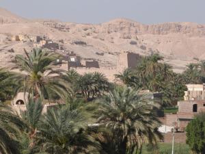 Mountain View Apartments