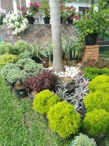 Samanala Garden Holiday Home