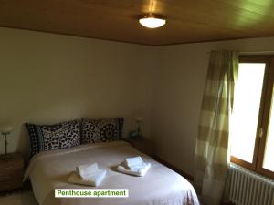 Chalets Le Green Chalet : photos des chambres