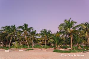 Carretera Tulum-Boca Paila KM 7, Zona Hotelera, 77780 Cancún, Mexico.