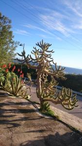 Traditional country house in Tinos Tinos Greece