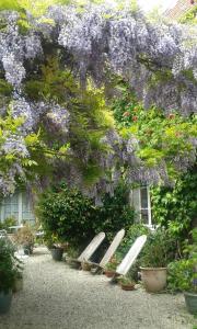 Maisons d'hotes la glycine : photos des chambres