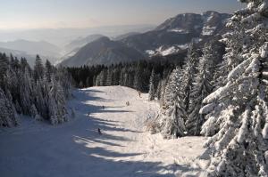 Alpska perla Apartments