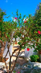 Traditional country house in Tinos Tinos Greece