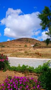 Traditional country house in Tinos Tinos Greece