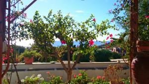 Traditional country house in Tinos Tinos Greece