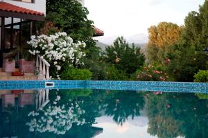 Ofir Boutique Hotel
