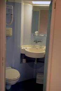 Hotels Lac'Hotel France : photos des chambres