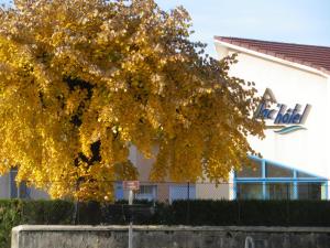 Hotels Lac'Hotel France : photos des chambres