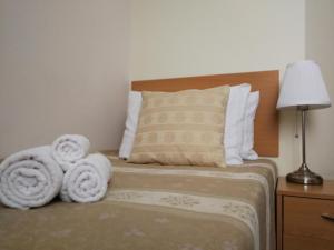 Single Room room in Hotel Angelas