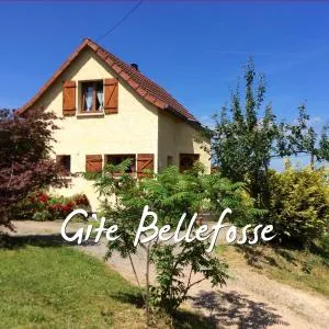 Maison independante de montagne en ALSACE - 维尔德巴赫