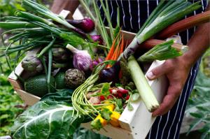 Hotels Hotel La Ferme du Chozal, Chalet de tradition : photos des chambres