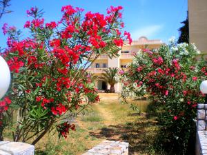 Galini Beach Hotel Chania Greece