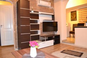 Apartment Ruža