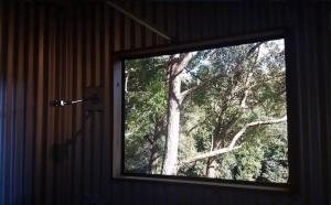 Avoca Beach and Bush