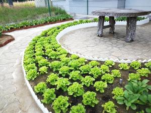 Greenery Garden Concept Homestay