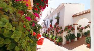 La Posada hotel, 
Benalmadena, Spain.
The photo picture quality can be
variable. We apologize if the
quality is of an unacceptable
level.