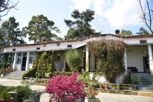 Deodar Homestay