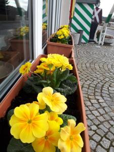 Familienhotel Zur Linde