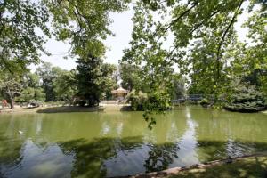 Appartements T3 HYPERCENTRE Jardin Public : photos des chambres